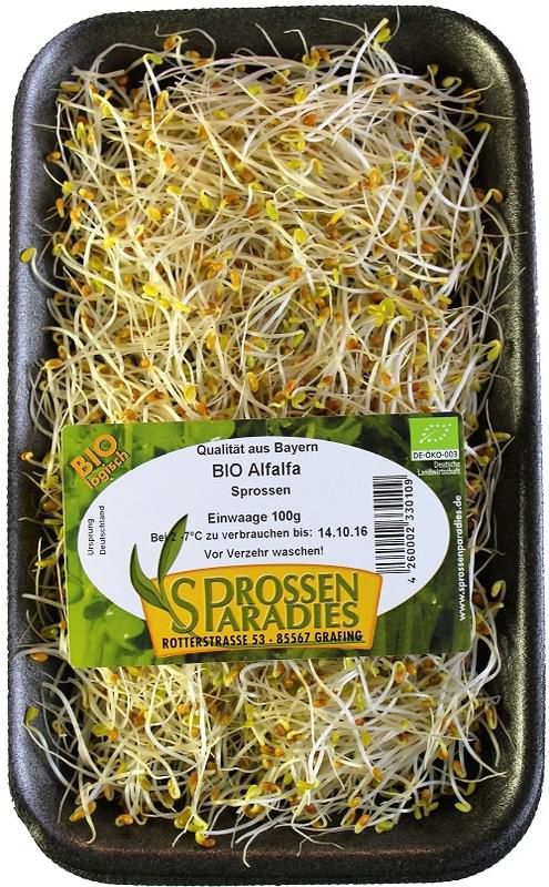 Sprossenparadies - BIO-Alfalfa-Sprossen