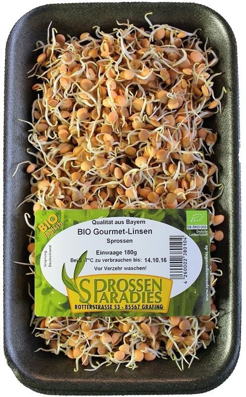 Sprossenparadies - BIO-Linsen-Sprossen