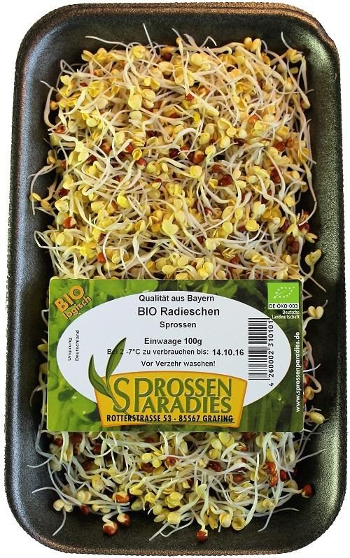 Sprossenparadies - BIO-Radieschen-Sprossen