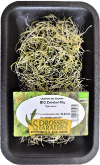 BIO-Zwiebel-Sprossen 40g
