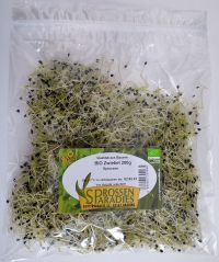 BIO-Zwiebel-Sprossen, 200g