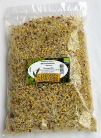 Radieschen-Sprossen, Beutel 500g