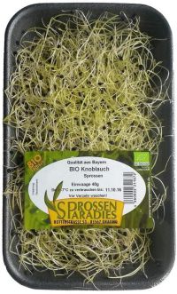 Knoblauch-Sprossen, Schale 40g