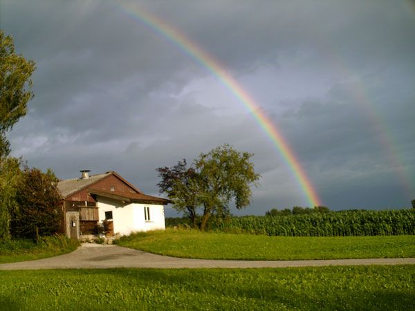 Sprossenparadies in Grafing