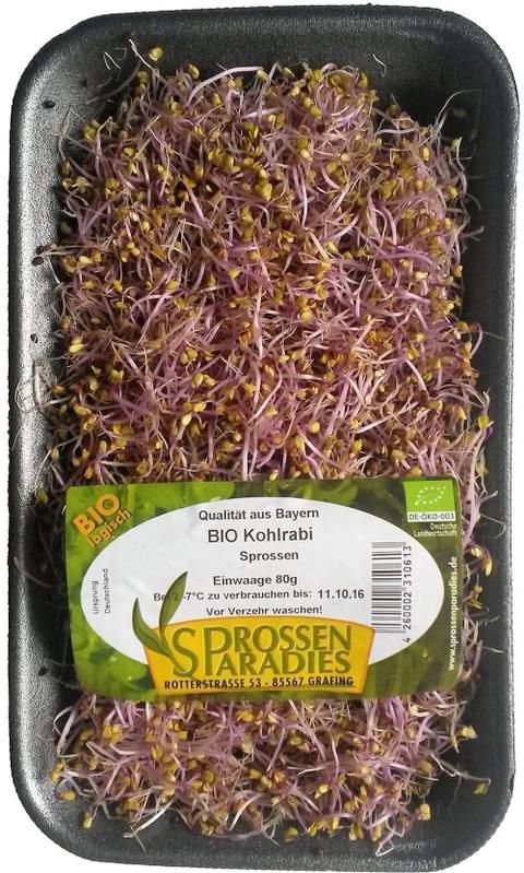 Kohlrabi-Sprossen