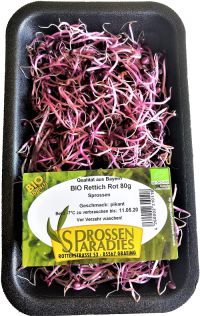 Rettich Rot-Sprossen, Schale 80g