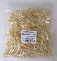 Mungobohnen-Sprossen, Beutel 1kg