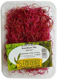 Rote Beete-Sprossen, Schale 50g